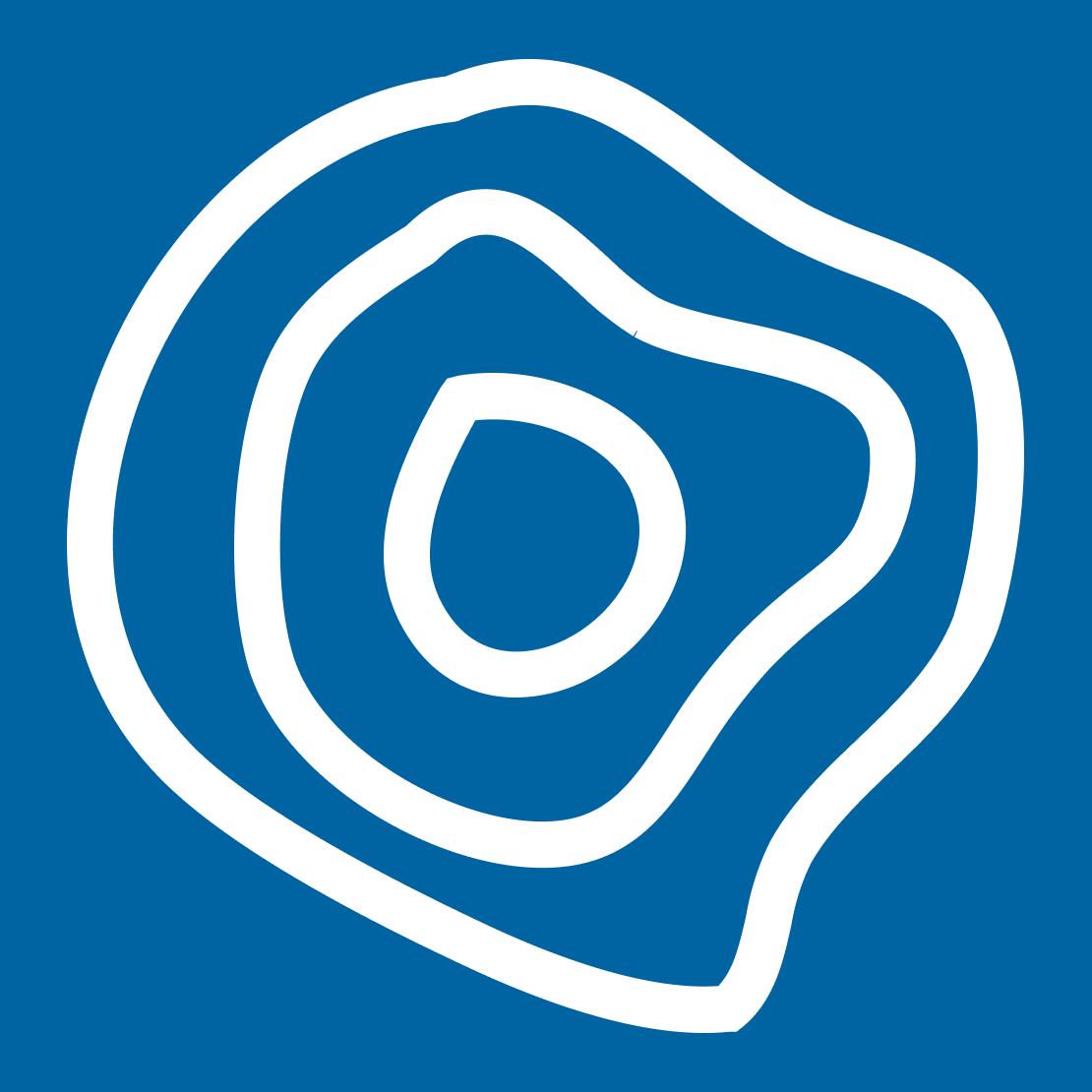 NASRI Logo